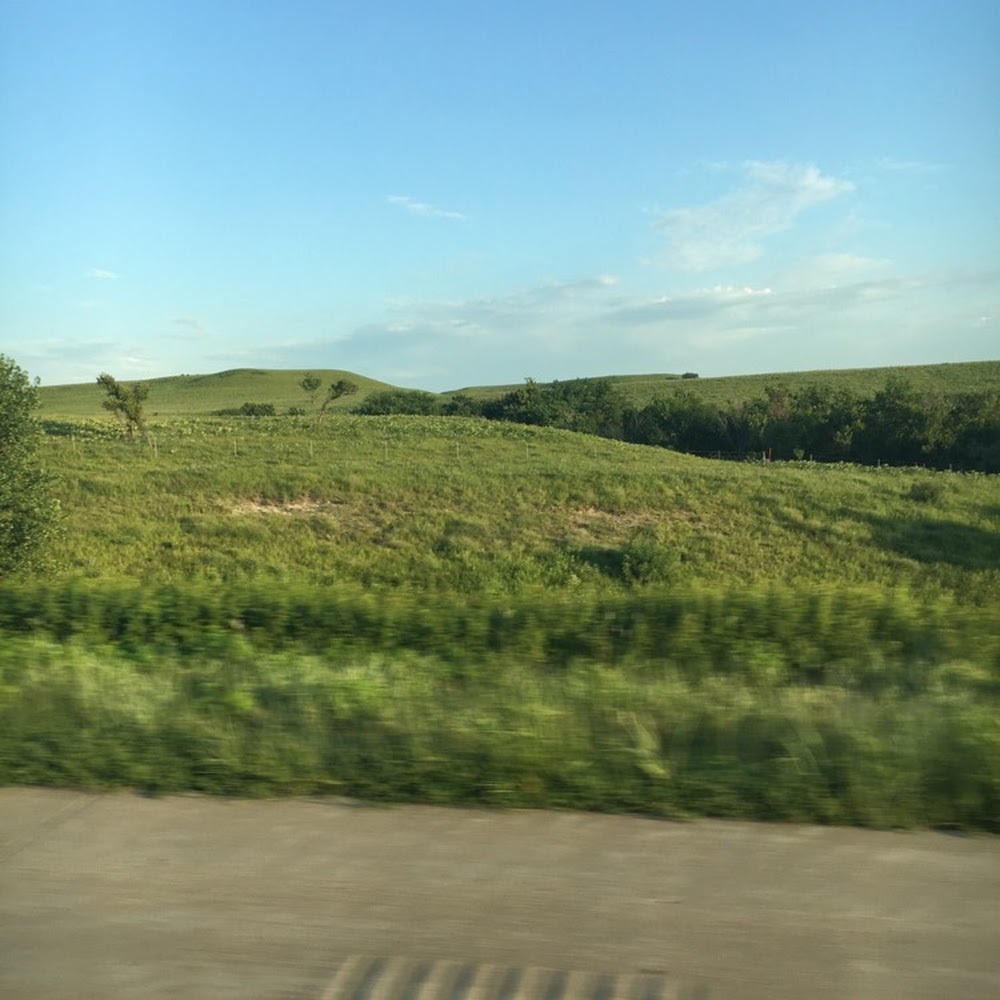 Meet your Posher, Lynn